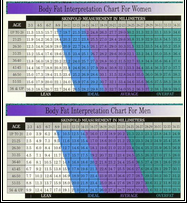 Bmi And Body Fat Chart